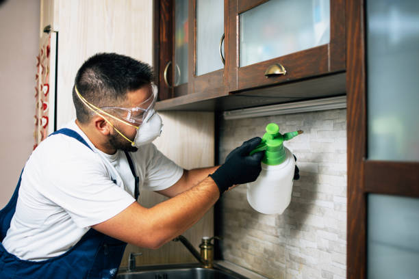 Professional Pest Control in Murfreesboro, TN