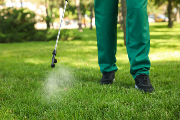 Best Exterminator Services  in Murfreesboro, TN