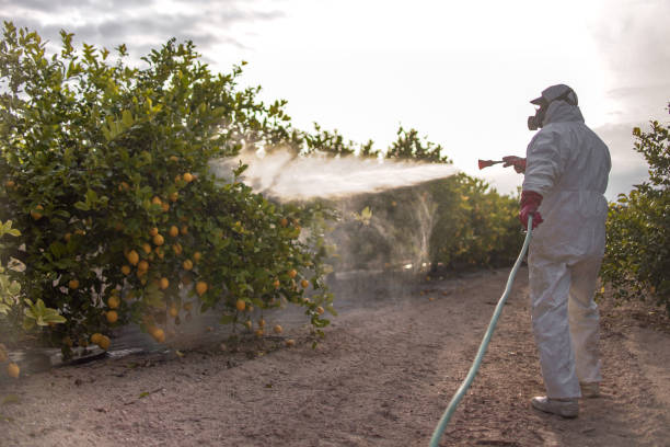 Best Local Pest Control Services  in Murfreesboro, TN