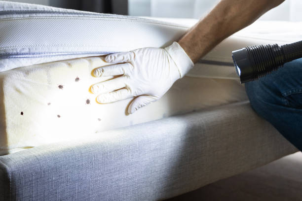 Best Insect Control  in Murfreesboro, TN