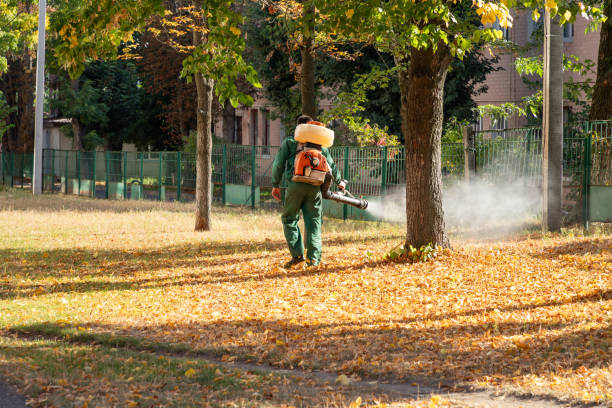 Best Mosquito Control Services  in Murfreesboro, TN