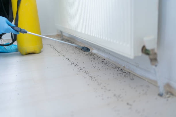 Best Termite Control Services  in Murfreesboro, TN