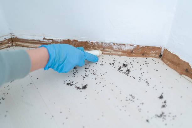 Murfreesboro, TN Pest Control Pros