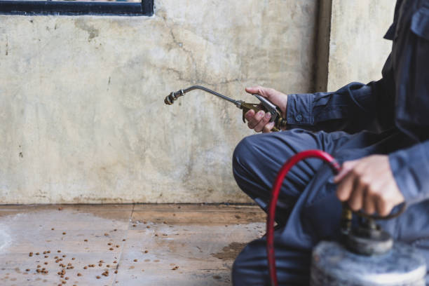 Best Pest Prevention Services  in Murfreesboro, TN